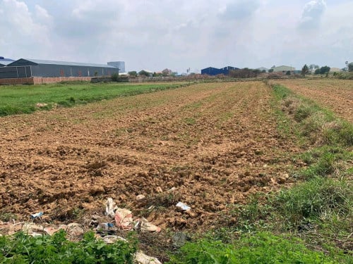 ដីលក់ប្រញ៉ាប់ ៖ នៅក្រោយវត្តឃ្មួញ, សង្កាត់ឃ្មួញ, ខណ្ឌសែនសុខ, រាជធានីភ្នំពេញ