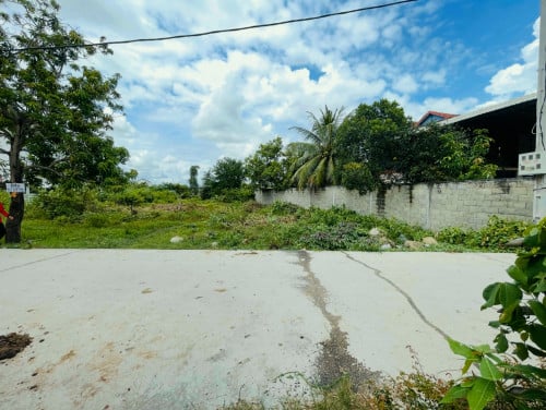 ដីលក់15m*20mជាប់ផ្លូវបេតុង