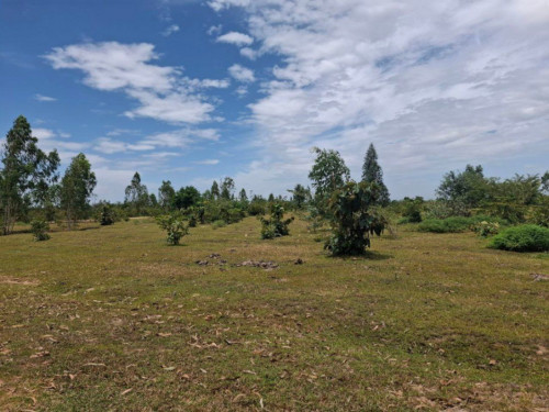 🏦Land Available for Urgent Sale at a Special Price (Negotiable).