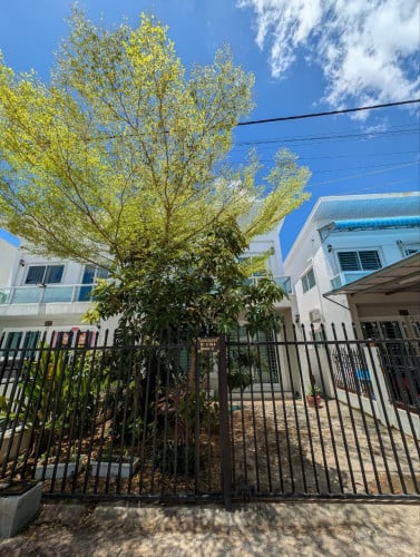 House for sale and rent