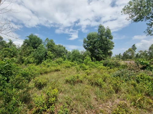 URGENT Land for sale (បន្ទាន់)