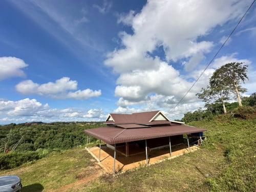 ដីនឹង​ផ្ទះ​លក់​ (ឡៅការ)​ ជេីង​ភ្នំ​ដោះក្រមុំ