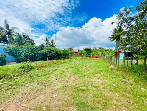 លក់ដី 15x46m =29500$ចរចា