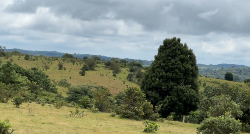 ដីលក់នៅមណ្ឌលគិរី