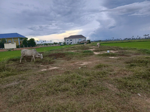 ដីលក់បន្ទាន់