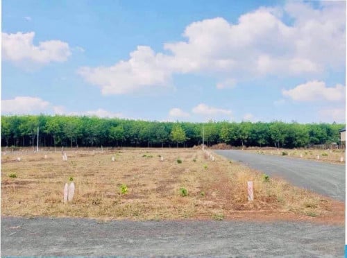 ដីកែងក្បែររង្វង់មូល ត្បូងឃ្មុំលក់បន្ទាន់