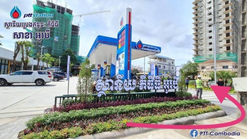 ដីលក់បន្ទាន់ កំពុងសោម