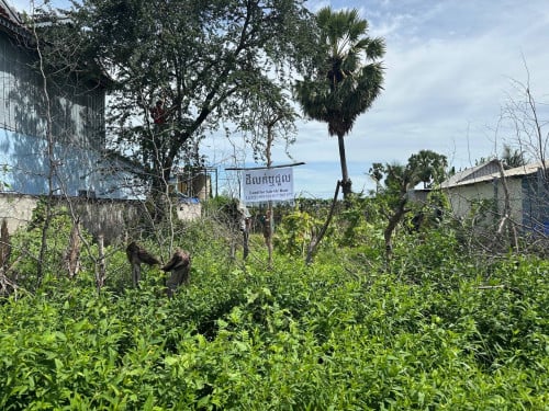 ដីលក់ឬជួល