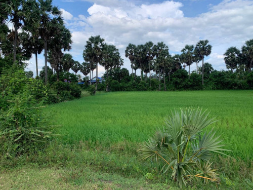 ដីលក់ទីតាំងទីរួមខេត្តកំពត