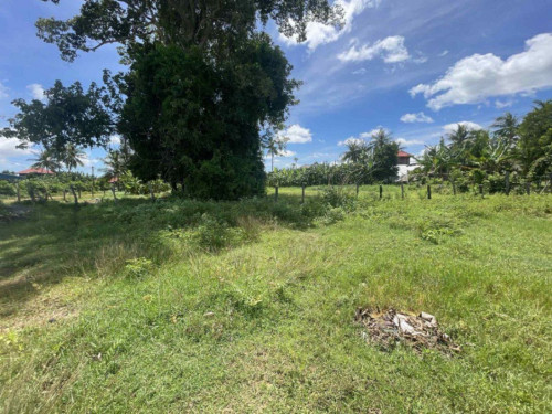 ๐ฆLand Available for Urgent Sale at a Special Price (Negotiable).