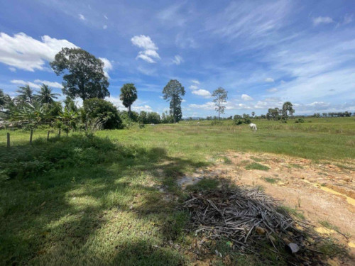 ๐ฆLand Available for Urgent Sale at a Special Price (Negotiable).