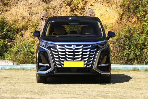 DENZA D9 2025 DMi AWD-Full option