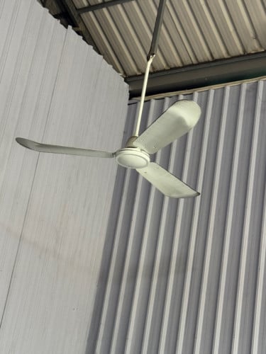 លក់កង្ហាពិដាន