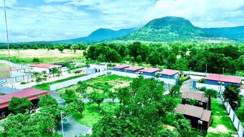 រីសត លក់បន្ទាន់