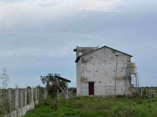 ផ្ទះត្រចៀកកាំលក់ 95,000$ មួយខែ4kg