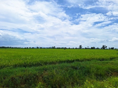 🏦Land Available for Urgent Sale at a Special Price (Negotiable).