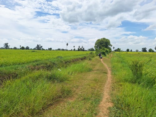 🏦Land Available for Urgent Sale at a Special Price (Negotiable).