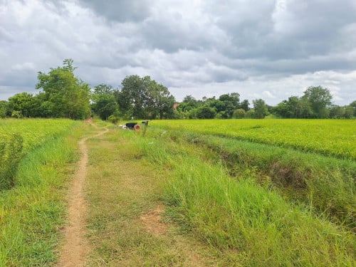 🏦Land Available for Urgent Sale at a Special Price (Negotiable).
