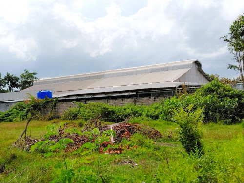 🏦Warehouse Available for Urgent Sale at a Special Price (Negotiable).