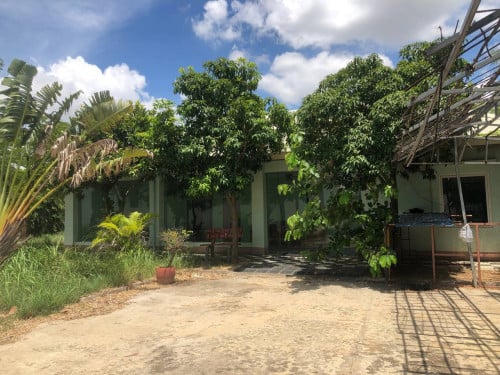 Land and Factory for Sale and Rent Near NR 51