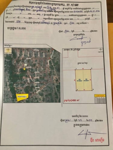 ដី ប្រភេទប្លង់ទន់ត្រឹមស្រុក