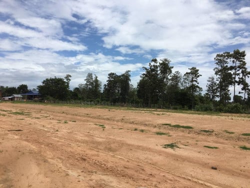 ប្រភេទដីឡូតិ៍