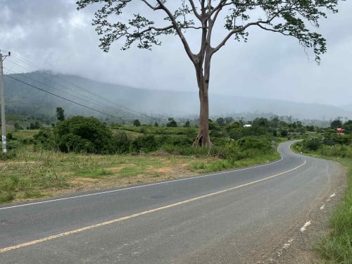 ដីលក់តំបន់ជើងភ្នំ1500ស្រុកវាលវែងខេត្ដពោធ៍សាត់ក្បាល46mX360mប្លង់រឹងជាប់ការ៉ាស់សាំងនឹងរីសតចាប់អារម្មណ៍