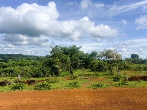 🏦Land for Urgent Sale (Negotiable), ABA Loan Available.