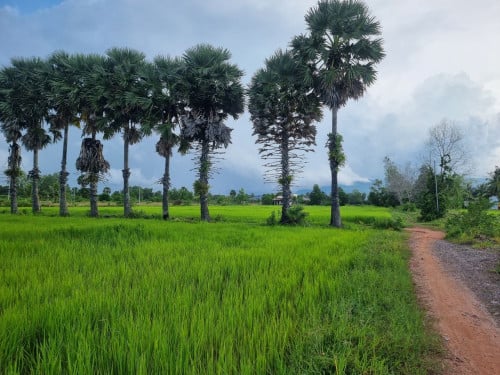 Land at Kampot