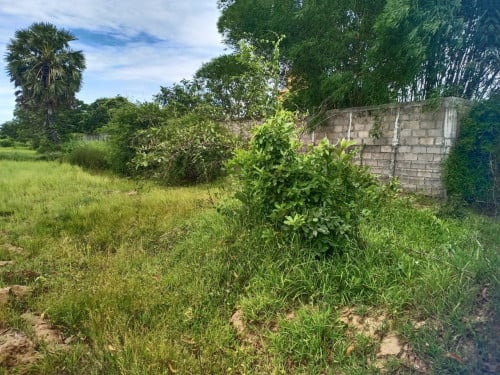 Land for sale ( ដីលក់)​