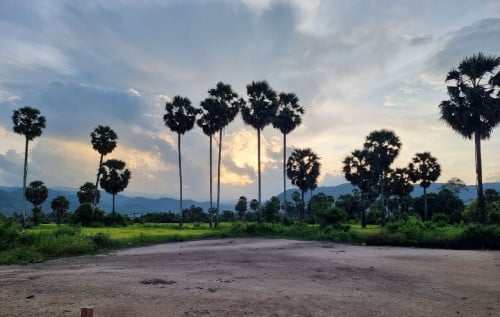 Land for sell at Kampot