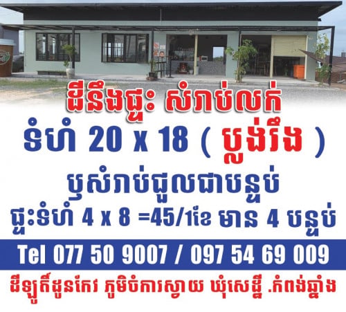 ដី ផ្ទះ លក់ឫជួល