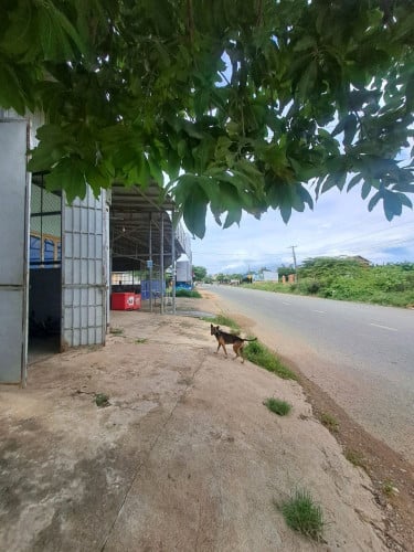 ផ្ទះជួលនៅ Odong