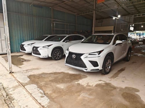 NX Fsport ប៉ុង២ បូតុង ៦