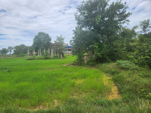 ដីលំនៅដ្ឋានលក់