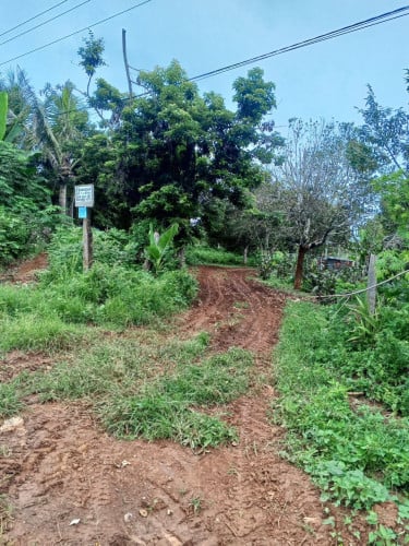 ដីលក់នៅក្នុងឃុំអូសោម ខេត្តពោធិ៍សាត់