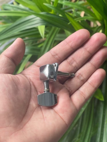 ខ្លេហ្គីតា​ (មាន៥គ្រាប់)