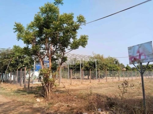 ដីលក់បន្ទាន់