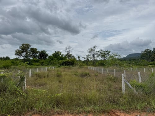 ដីជេីងភ្នំគិរីរម្យ​