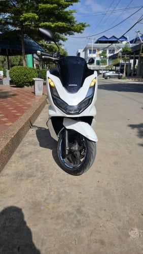 PCX 023