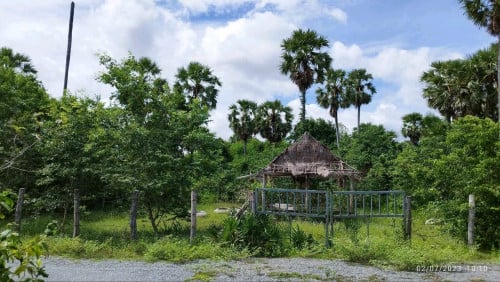 មានប្លង់រឹង ម្ចាស់ផ្ទាល់