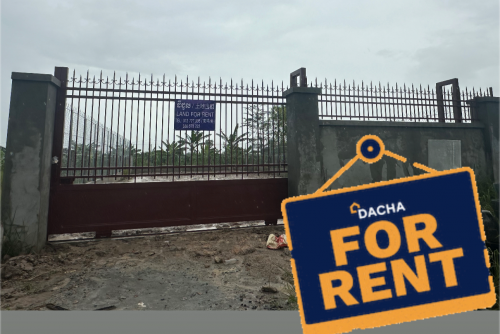 ដីជួល រឺលក់ នៅជិតផ្សារដើមអម្ពិល(ចុះពីផ្លូវជាតិលេខ២ ចម្ងាយតែ៥០០ ម៉ែត្រ) ១៥ នាទីពីព្រលានយន្តហោះថ្មី