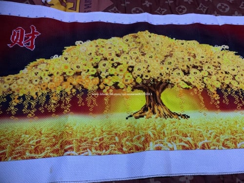 ដើមកាក់មាសចាក់រួច