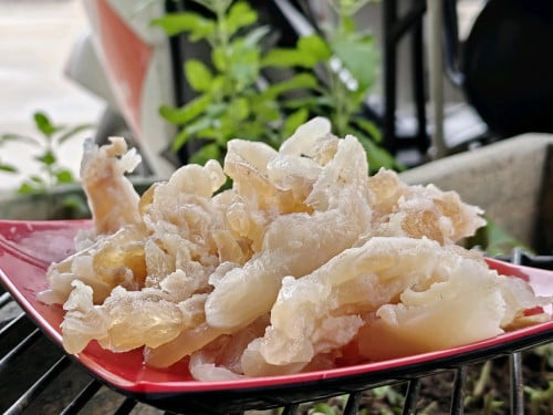 សសៃកែងគោ