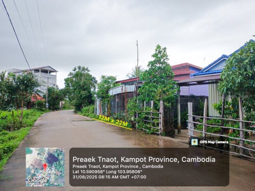 ដី និងផ្ទះលក់បន្ទាន់ (កំពត)