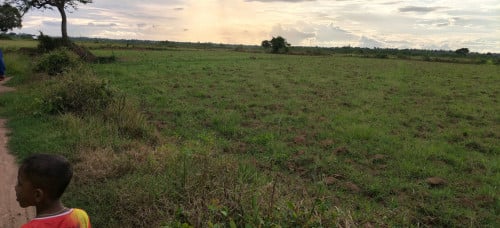 ដីលក់ក្រោមតម្លៃទីផ្សារ ៤០% ប្លង់រឹង , ជាប់ផ្លូវរដ្ឋ ១៥ម៉ែត្រ