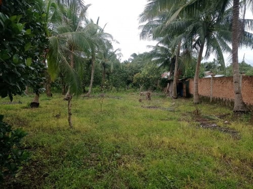 ដីជាប់ផ្លូវជាតិលេខ4 មុខសាលាបឋមសិក្សាពេជ្រនិល  ក្បាល15មែត្ 1មែត្1មុឺនចរចាររ