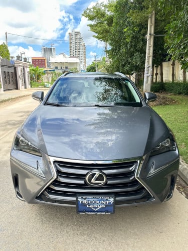 លក់ Lexus NX 200T Luxury ស្រុីនម៉ាជុំទាំងកាង​ ពន្ទុ 95