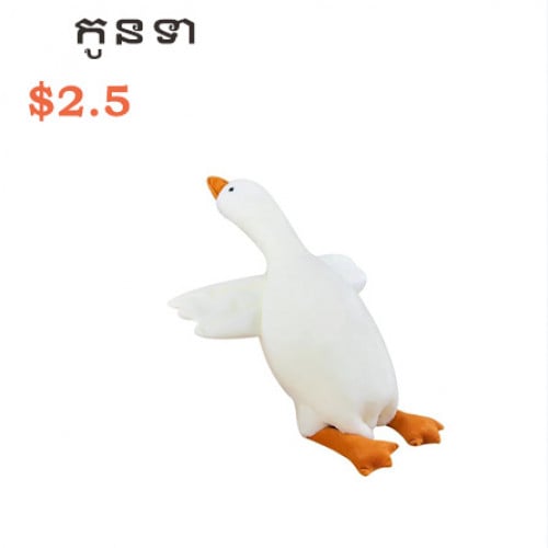 Duckling Baby turtle កូនទា កូនអណ្តើក ជាមួយប្រអប់កាដូ