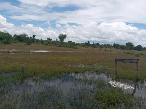 ដីលក់បន្ទាន់ប្រញាប់លុយ